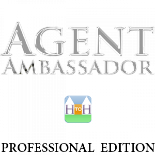 Agent Ambassador Professional Service System